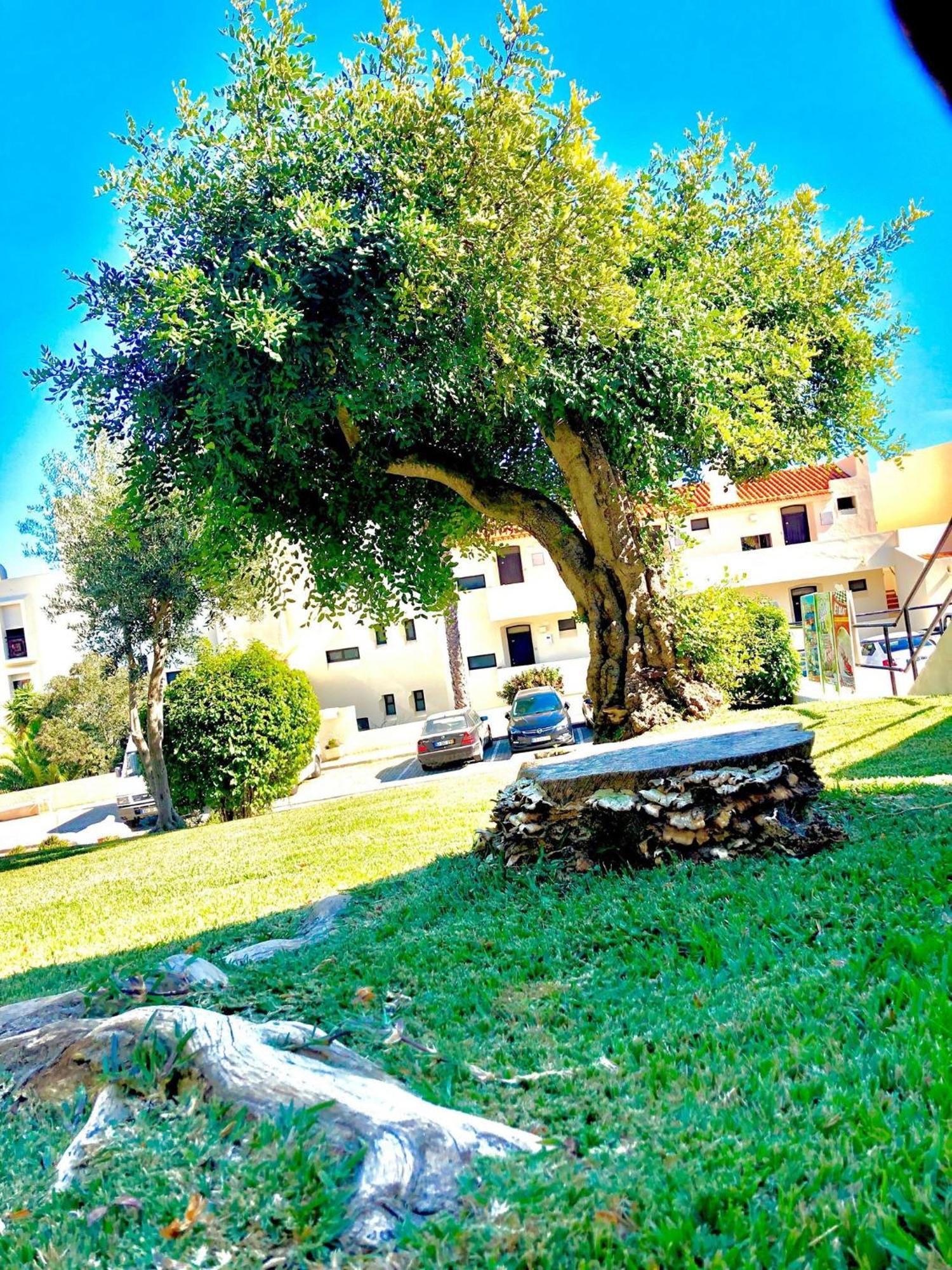 Albufeira Jardim - Apartamentos Turisticos Exterior foto